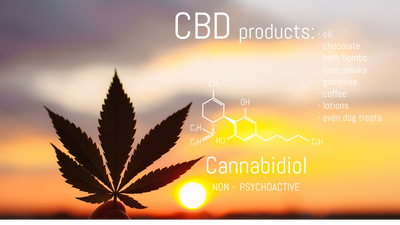 What CBD Products Are Right for You?