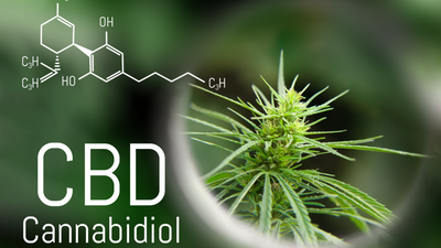 Is CBD an Antioxidant?