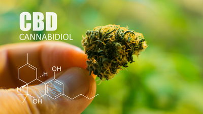Top Reasons You Should Try CBD