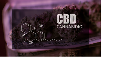 A Few Reasons CBD May Not Be Working For You
